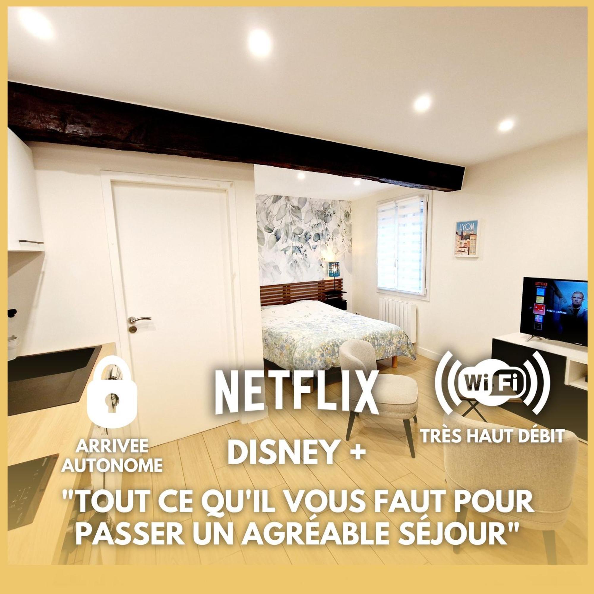 Studio Entierement Equipe Cailloux-sur-Fontaines Zewnętrze zdjęcie